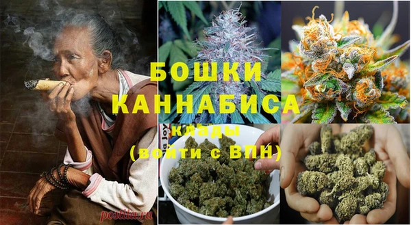 ГАЛЛЮЦИНОГЕННЫЕ ГРИБЫ Михайловск