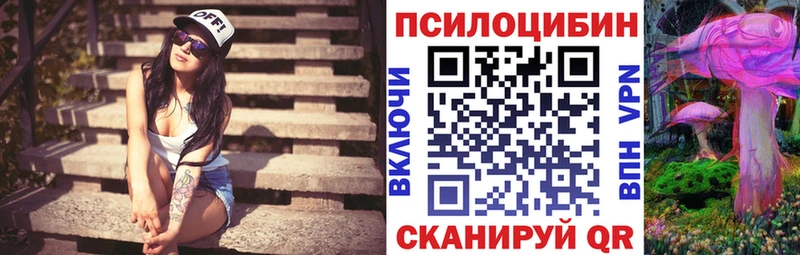 Галлюциногенные грибы Cubensis  гидра   Судак  наркошоп 